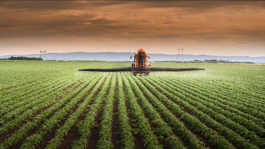 COP27 14 Empresas De Alimentos Apresentam Plano Para Acabar Com O 